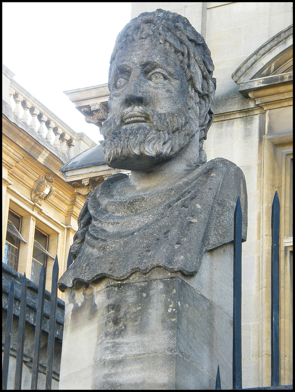 Sheldonian head no.14