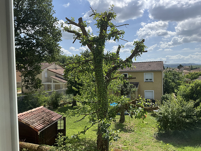 Mon environnement