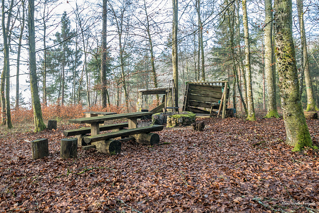 Verlassen und Vernachläsigt