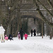 Walkers in the Snow