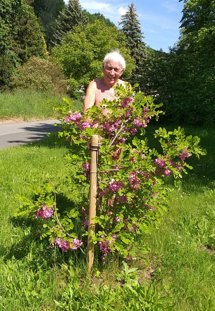 Ich und meine Borstenrobinie