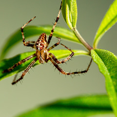 IMG 1675-FHD IMG 1675-FHD