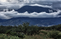 The Huachuca Mountains