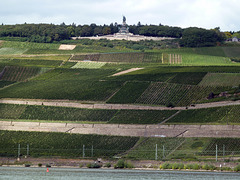 Rüdesheim und seine Rebberge, darüber das Niederwalddenkmal