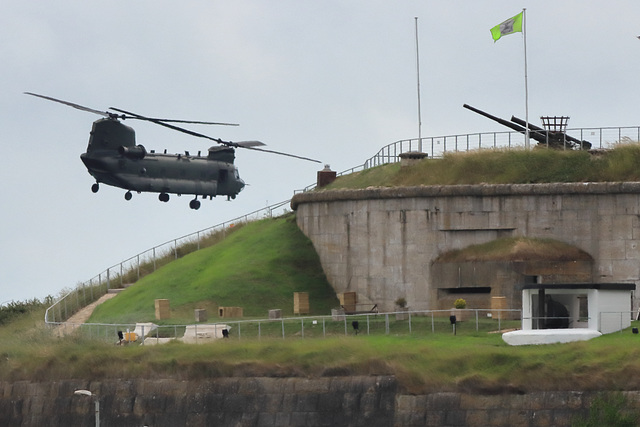 EOS 90D Peter Harriman 12 07 44 33084 chinook2 dpp