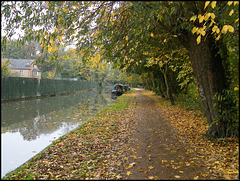 "dull November" down the canal