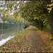 "dull November" down the canal