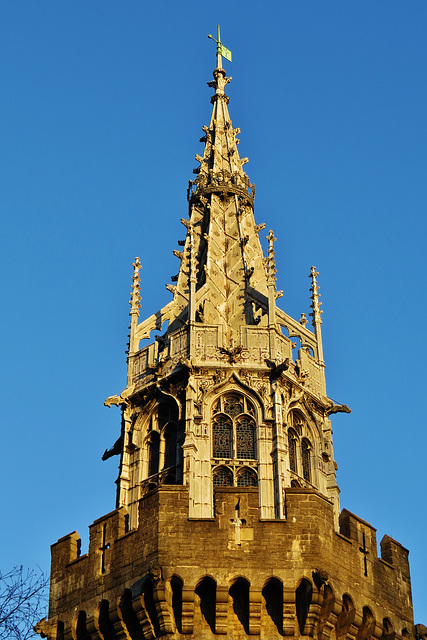 cardiff castle (250)