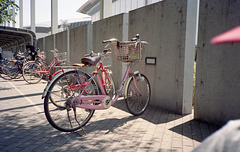 Pink bike at a gym