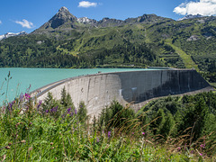 Staumauer