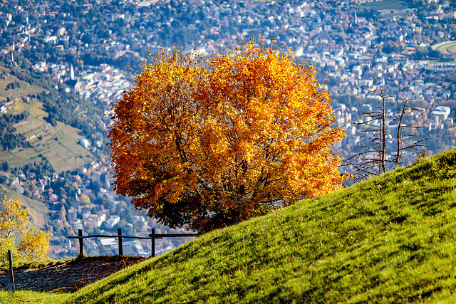 Herbstzeit über Meran Herbstzeit über Meran