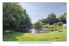 East Blatchington pond wide view - 18.6.2015