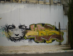 Skran's painting on wall close to the tramway rails.