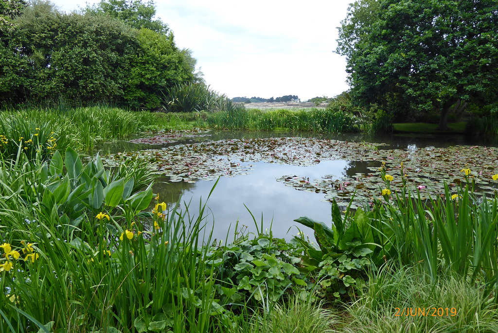l'étang aux nymphéas-jardin du Pellinec