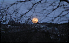 Moon over Shea Heights