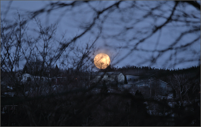 Moon over Shea Heights