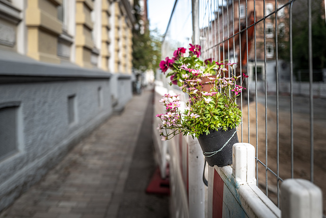 Roadworks beautification (11.05.2022)