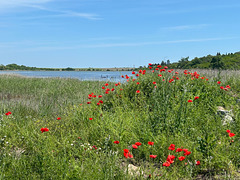 The Poda nature reserve.