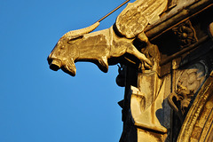 cardiff castle (253)