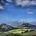 Casares