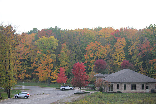 Colored Lot