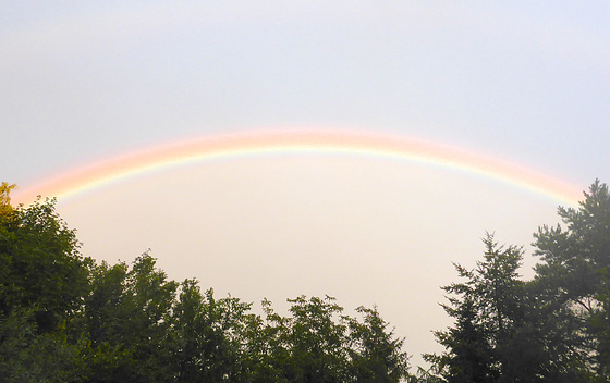 Regenbogen