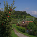 BÖ0026734