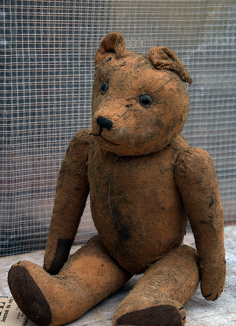 Les enfants grandissent , les ours trinquent ....Envoyez vos dons à l'Association pour la défense des nounours ..