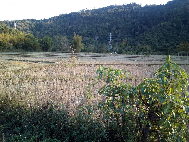 Pylônes laotiens au milieu de nulle part...