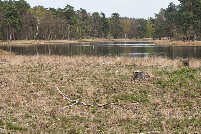 25042021 Schwarzes Wasser Wesel 7