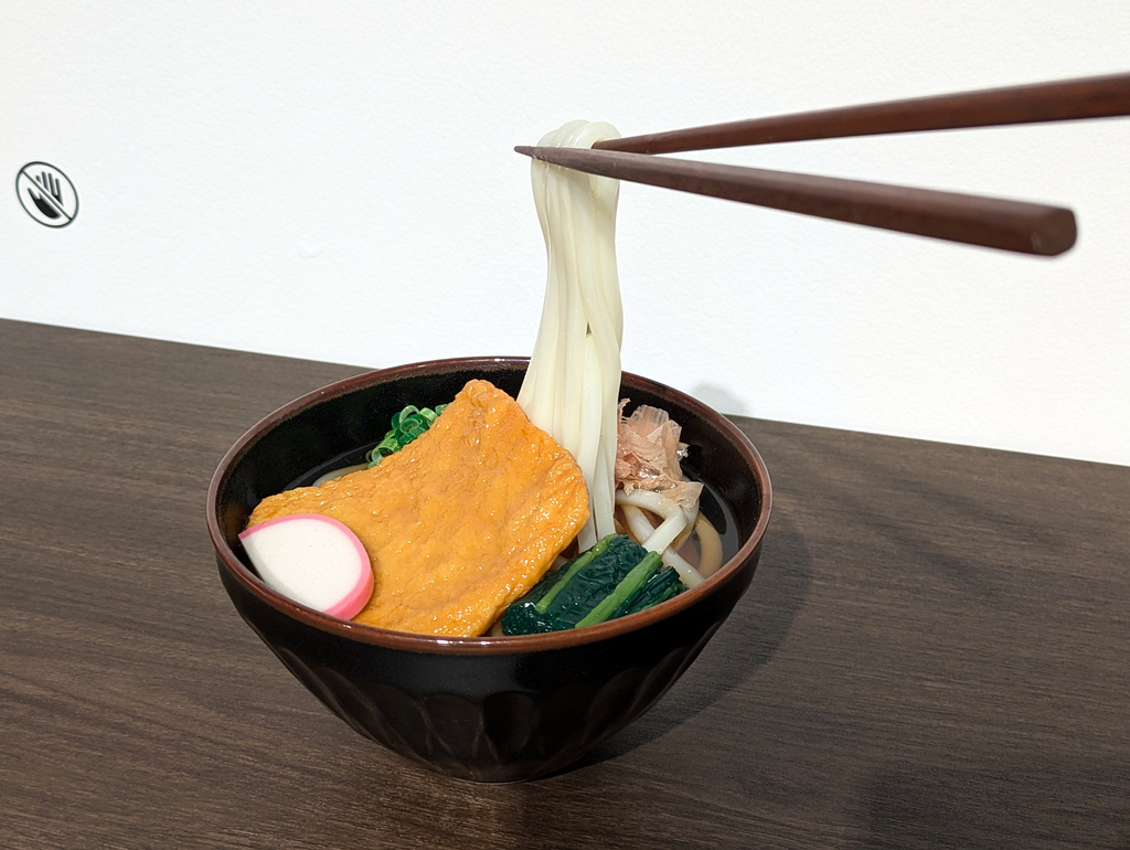 PXL 20241014 132405047-001-Udon & Tofu
