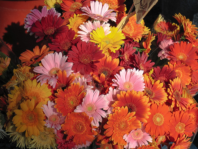 Blumensträusse auf dem Markt in Narbonne - 2004-09-30--Ix500-IMG 0922