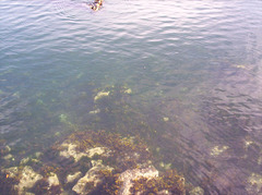 102_0011.JPG