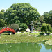 In the Japanese Garden of Buenos Aires