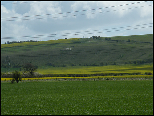 Pewsey White Horse