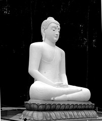 Samadhi Buddha