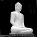 Samadhi Buddha