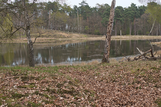 25042021 Schwarzes Wasser Wesel 8