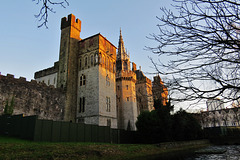cardiff castle (258)