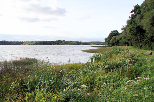 Etang de Priziac