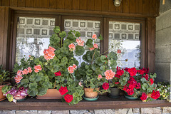 Rifugio Palam Palè, Demo - Brescia