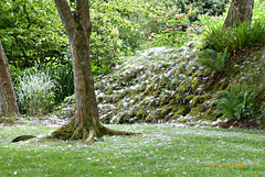 jardin du Pellinec jardin du Pellinec