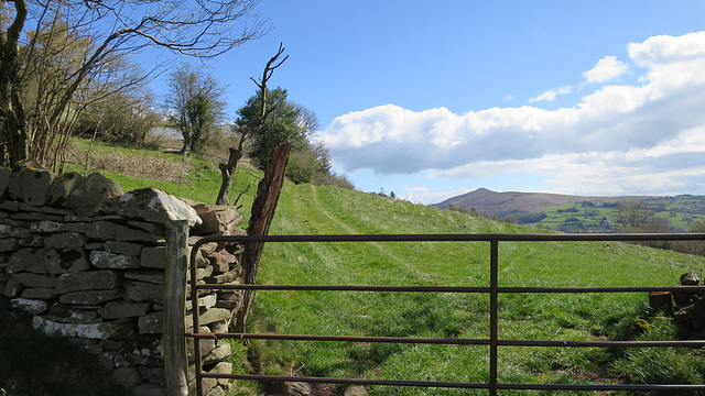 Farm gate