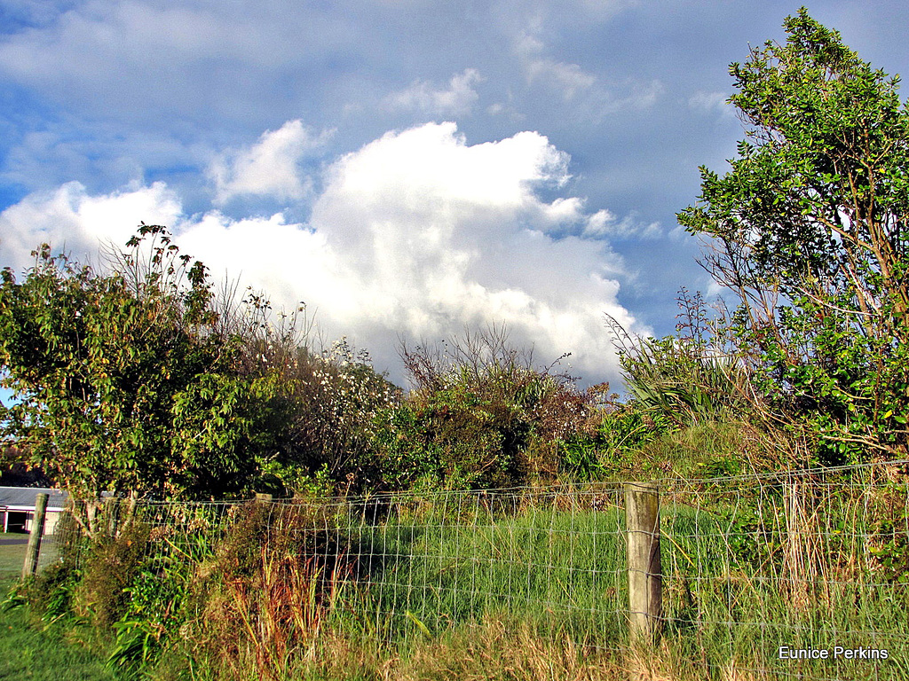 The Fence Between