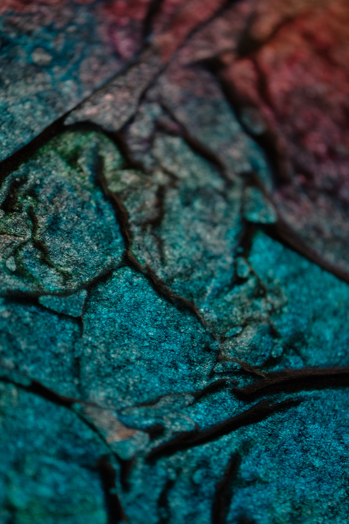DSCF6164