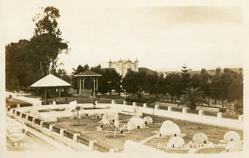 Serpentarium at the Butantan Institute, São Paulo, Brazil