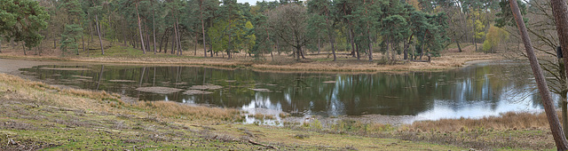 25042021 Schwarzes Wasser Wesel 10 Panorama