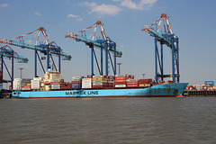 MAERSK   BULAN