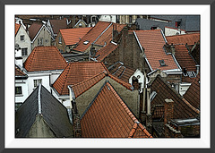 Les toits de Bruxelles VIII