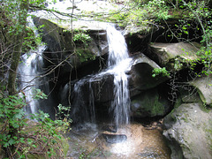 Waterfall in Dismals Canyon